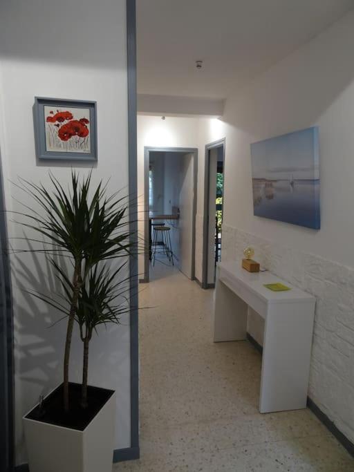 Grande Maison 3 Chambres - Jardin, Terrasse Et Parking - Bord De Mer 또헤이으 외부 사진